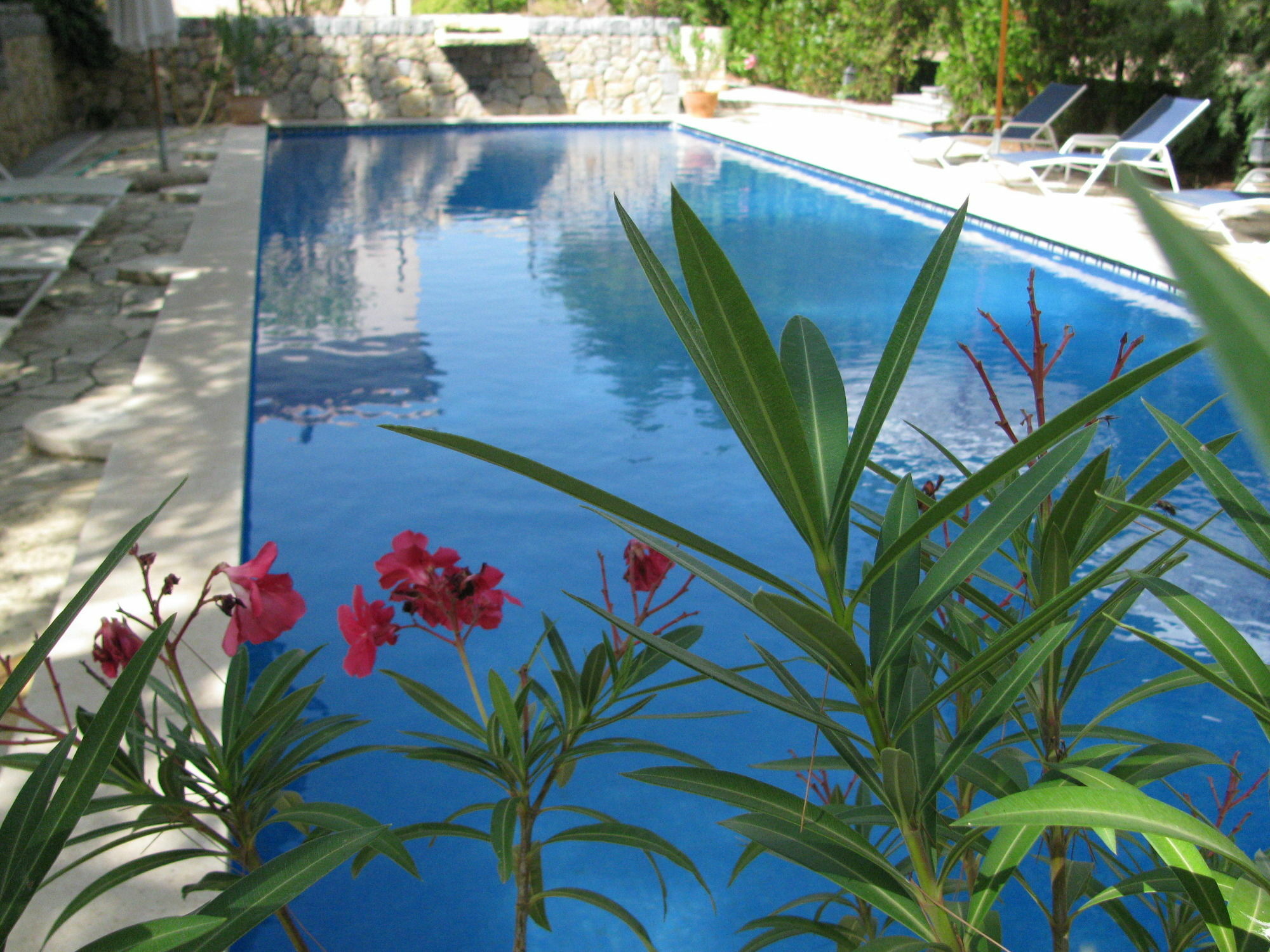 Weingut & Landhotel Can Davero Binissalem Dış mekan fotoğraf