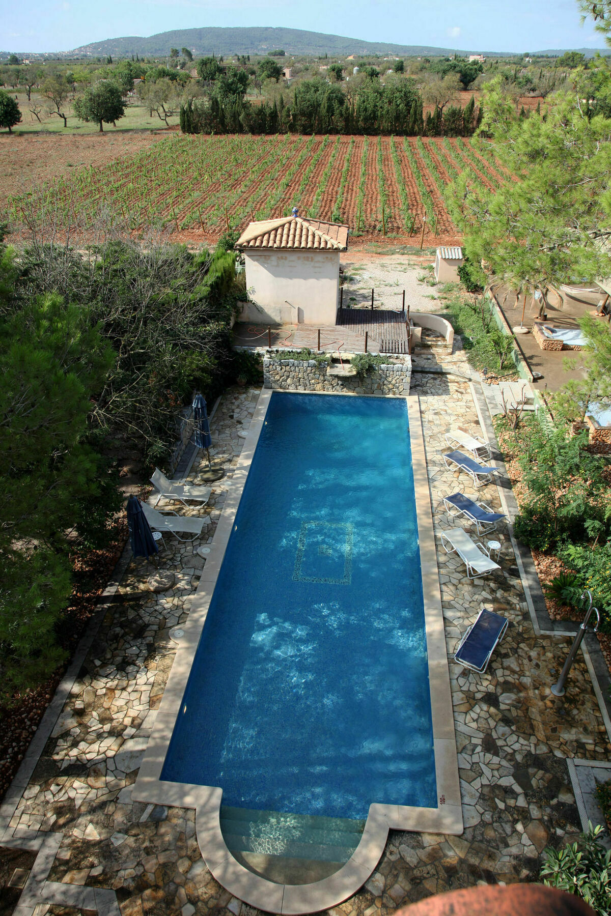 Weingut & Landhotel Can Davero Binissalem Dış mekan fotoğraf
