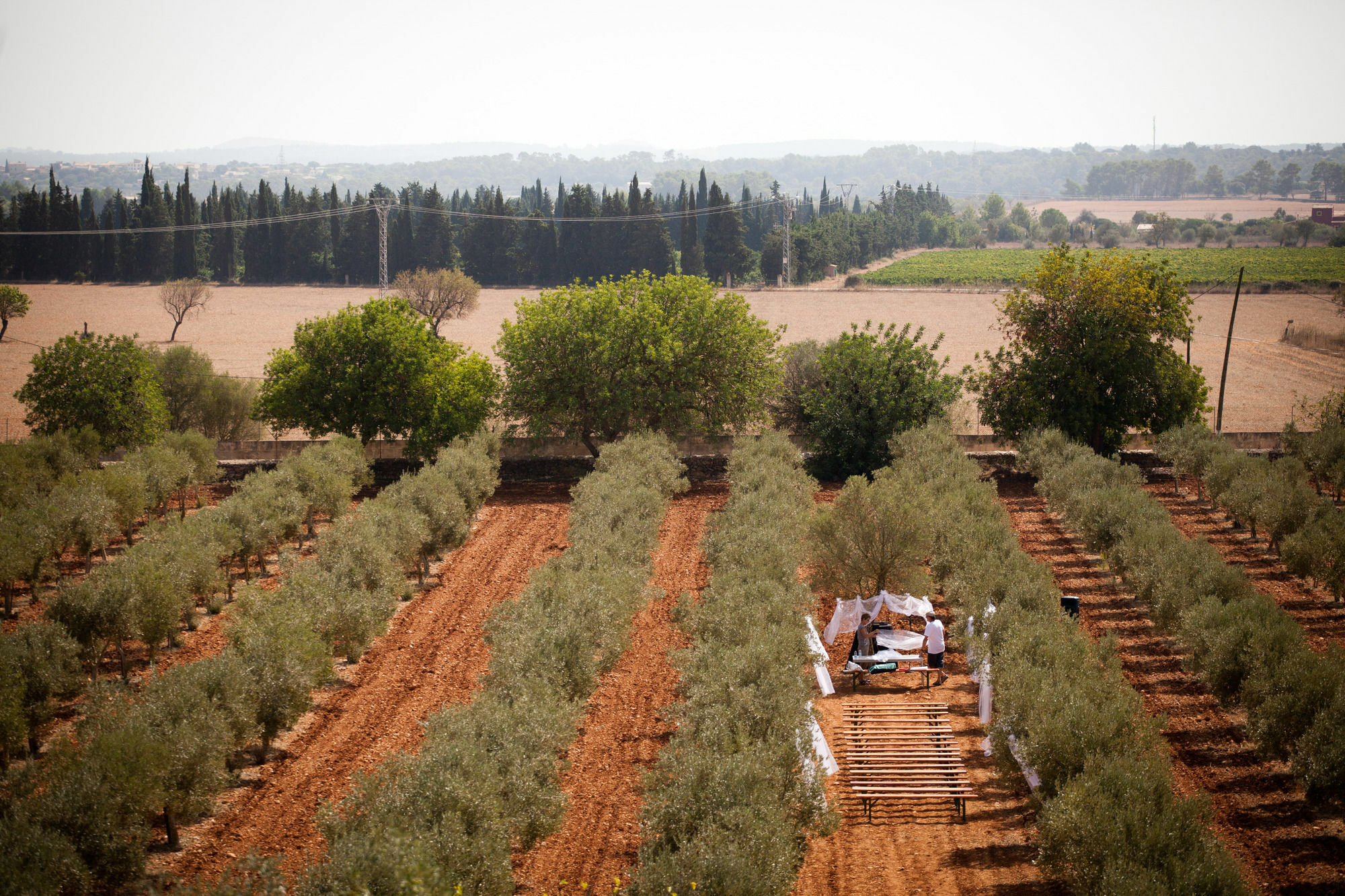 Weingut & Landhotel Can Davero Binissalem Dış mekan fotoğraf