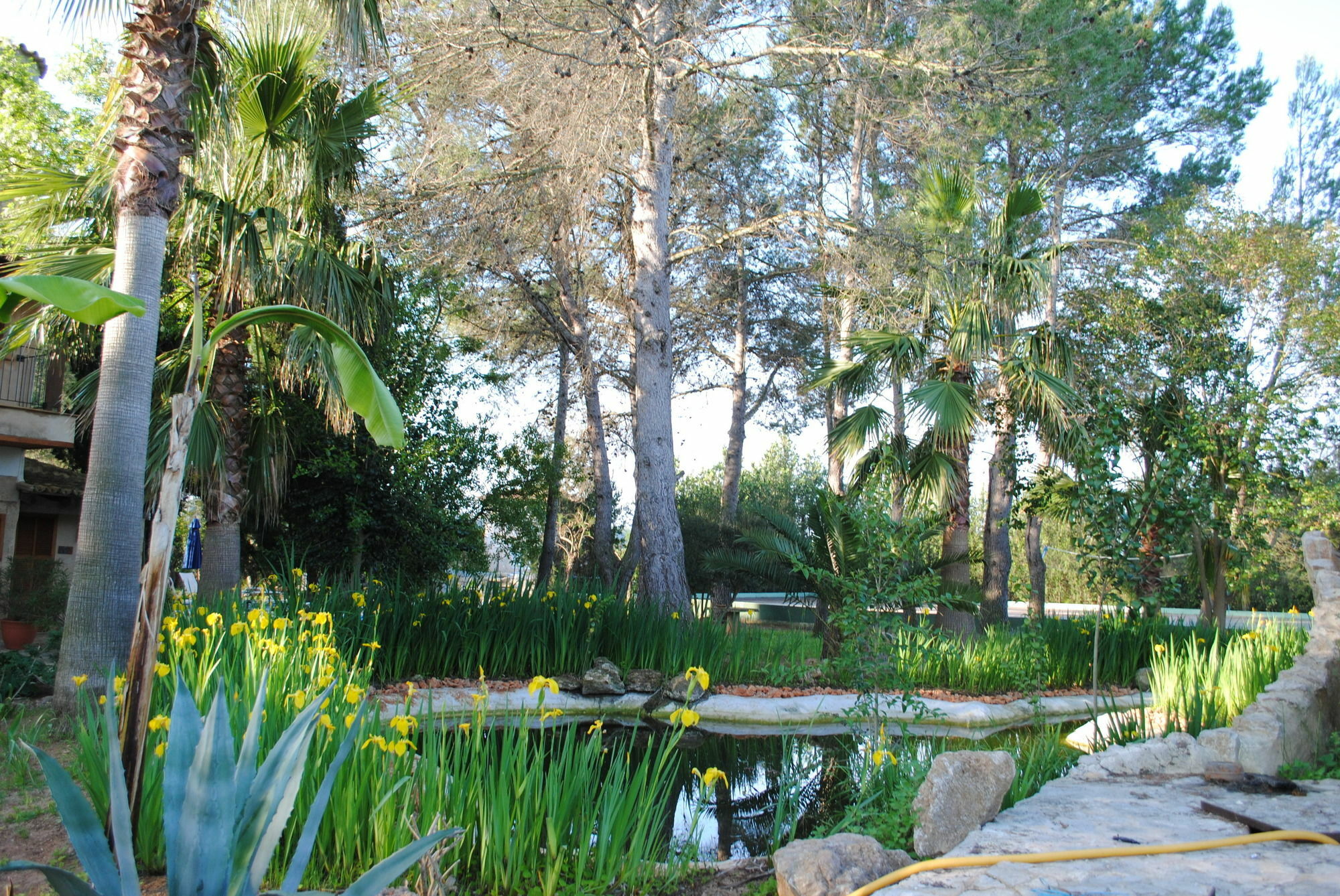 Weingut & Landhotel Can Davero Binissalem Dış mekan fotoğraf